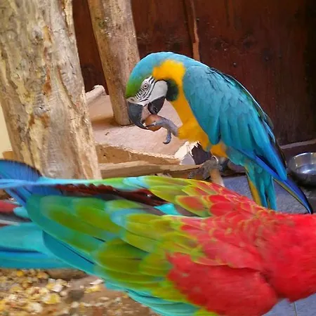 Gran Canaria Excursions * San Agustin (Gran Canaria)