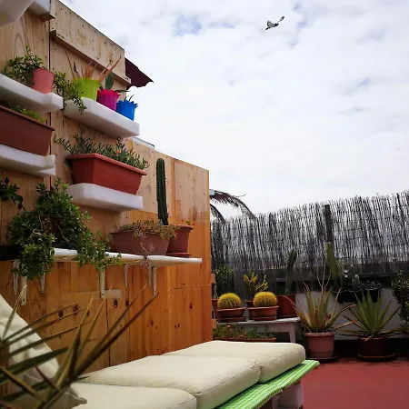 Apartment Gran Canaria Excursions San Agustin (Gran Canaria)