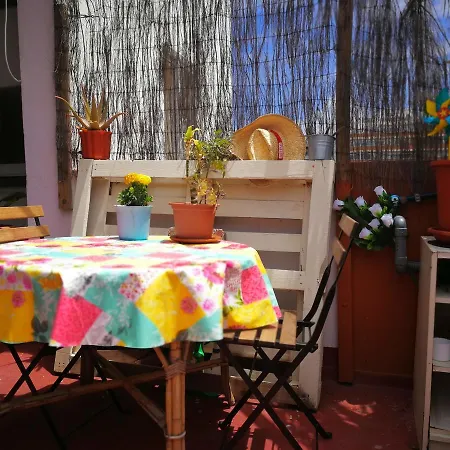 Apartment Gran Canaria Excursions