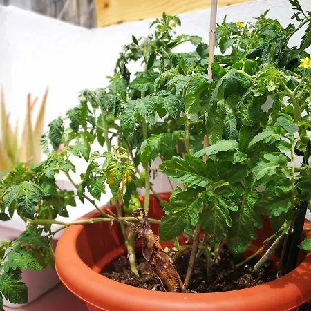 Apartment Gran Canaria Excursions *